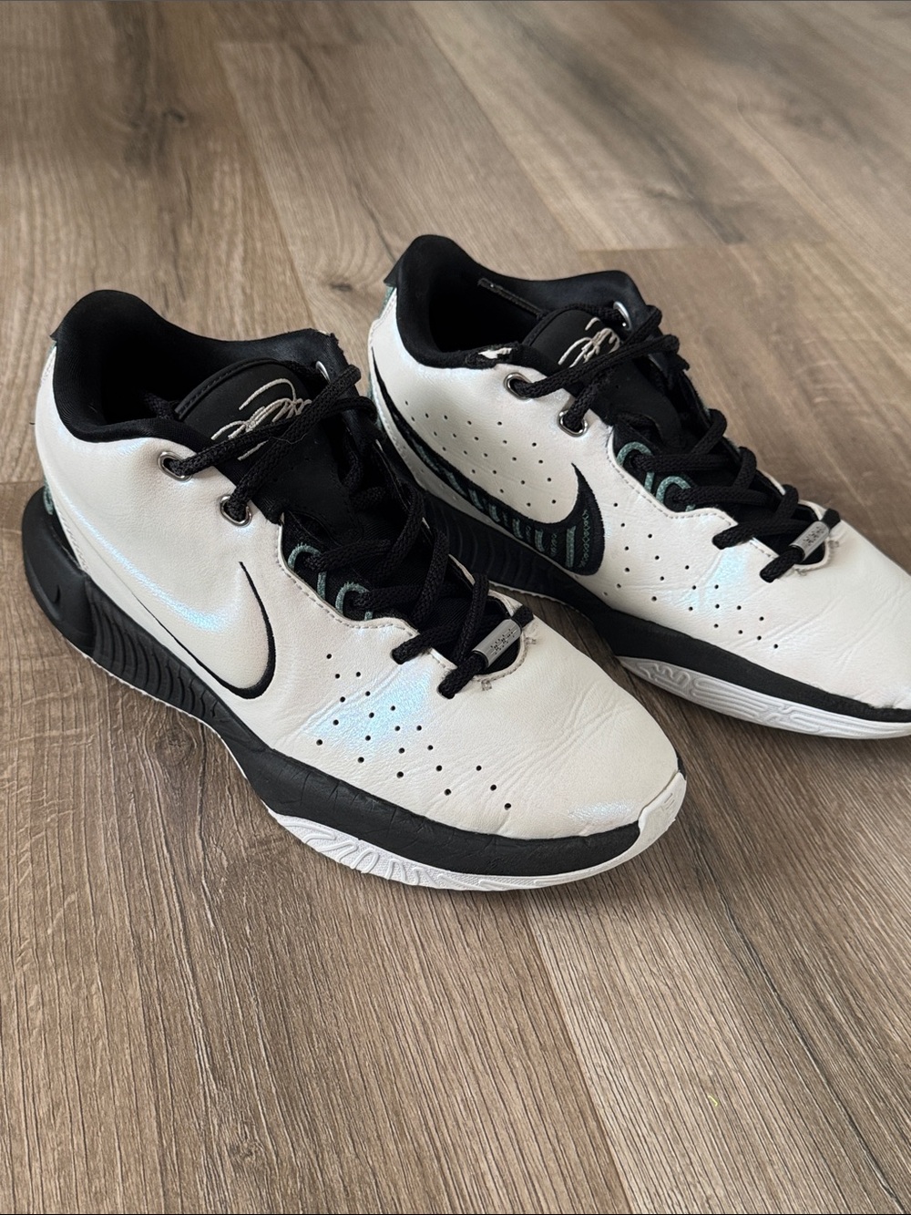 Nike Lebron XXI (21) CONCHIOLIN Boy’s [FZ7189-100] Grade School Size 5Y